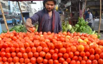 tomato prices surpass chicken meat in karachi tomato prices surpass chicken meat in karachi