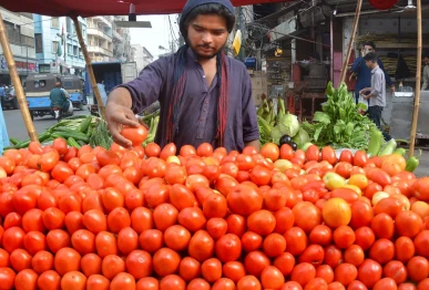 a vendor arranges tomatoes on his pushcart the kitchen essential was selling on pushcarts for rs400 450 and in supermarkets at rs550 580 due to short supply in the market photo jalal qureshi express
