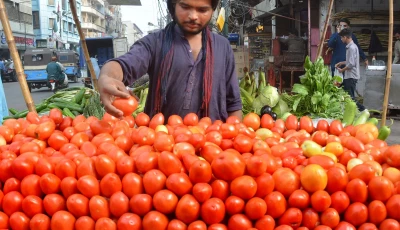 a vendor arranges tomatoes on his pushcart the kitchen essential was selling on pushcarts for rs400 450 and in supermarkets at rs550 580 due to short supply in the market photo jalal qureshi express