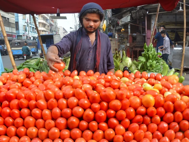a vendor arranges tomatoes on his pushcart the kitchen essential was selling on pushcarts for rs400 450 and in supermarkets at rs550 580 due to short supply in the market photo jalal qureshi express a vendor arranges tomatoes on his pushcart the kitchen essential was selling on pushcarts for rs400 450 and in supermarkets at rs550 580 due to short supply in the market photo jalal qureshi express