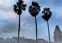 gusty winds forecasted for the next two days in karachi photo file