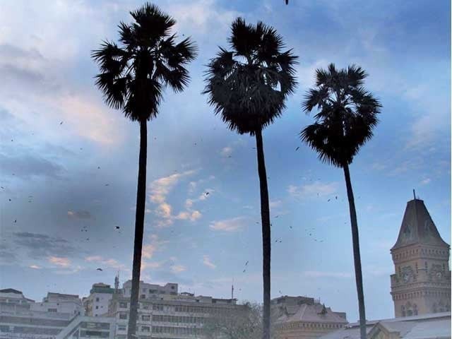 gusty winds forecasted for the next two days in karachi photo file