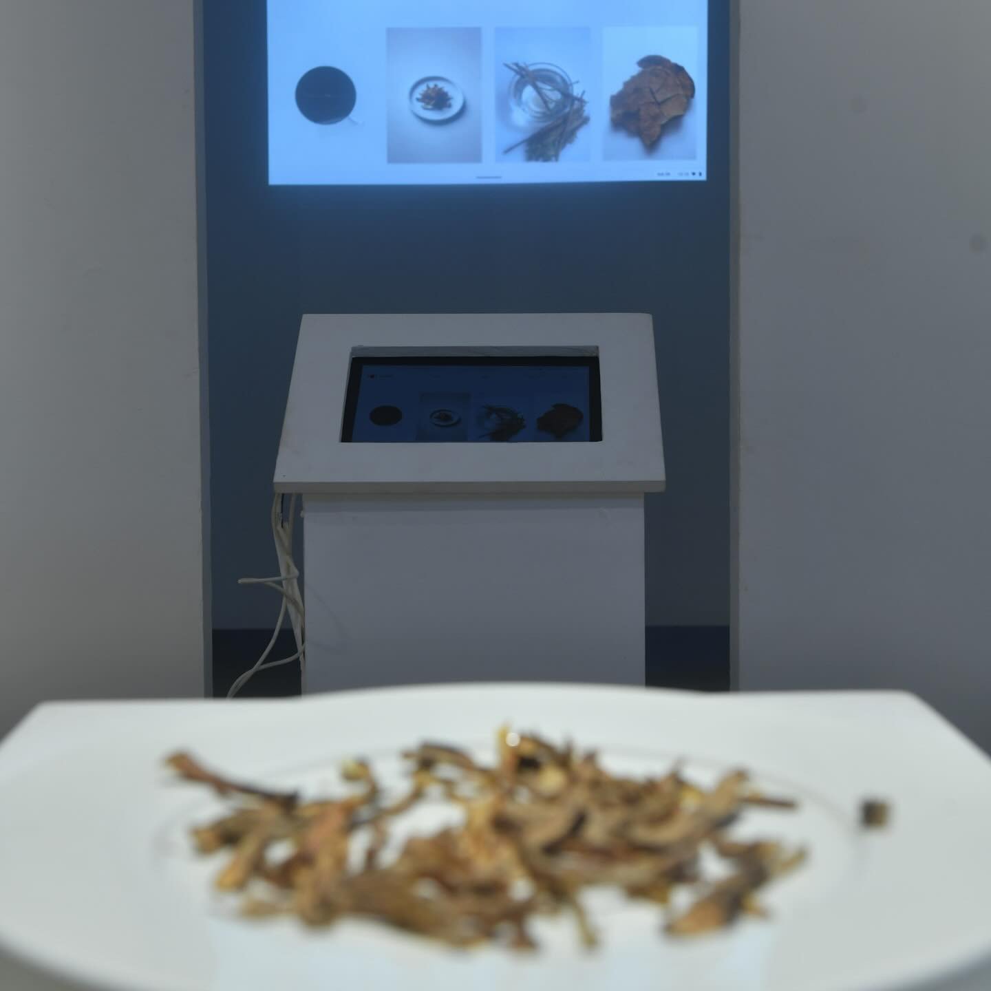 Nofood—Starvation Cookbook reconstructs dishes born of extreme hunger. Artist: Karolina Brzuzan