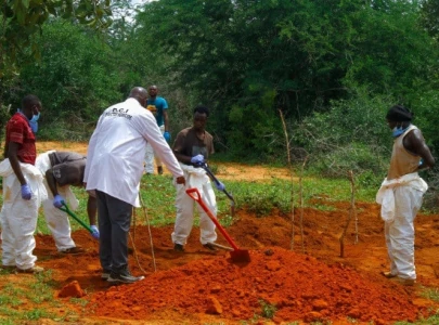 kenya hunger cult deaths reach 89 minister prays survivors will tell the story