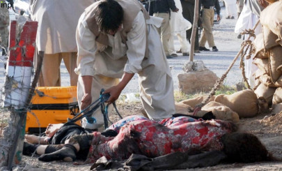 chechens did not fire a shot na committee told