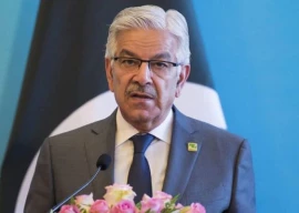 asif takes another swipe at bureaucracy