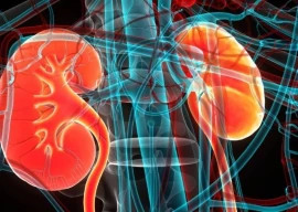 karachi heatwave triggers surge in kidney infections say medical experts karachi heatwave triggers surge in kidney infections say medical experts