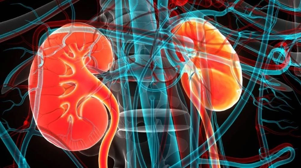 heatwave in sindh causes kidney infections among masses photo file heatwave in sindh causes kidney infections among masses photo file