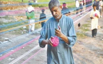 kite string prices touch the sky