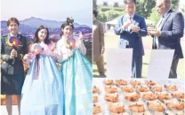 k wave festa showcases korean culture k wave festa showcases korean culture