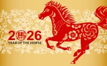 lunar new year 2026 what the year of the horse means for romance