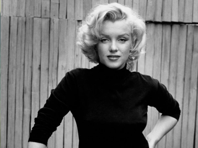 photo shutterstock photo shutterstock