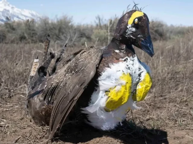 photo nps photos photo nps photos