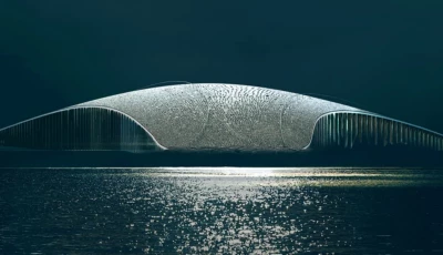 photo the whale as photo the whale as