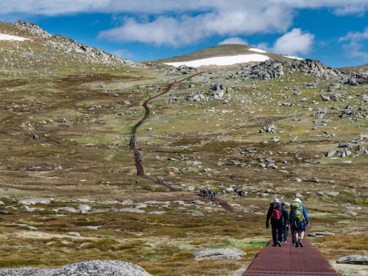 photo australian broadcasting corporation