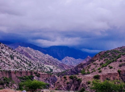 k p seeks koh e suleiman wildlife conservancy status