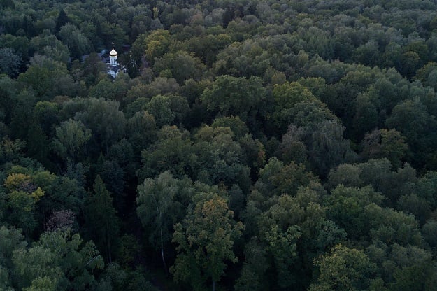 A photo taken on September 28 shows the forested area near Moscow known as Kommunarka where historians belive Stalin's NKVD secret police killed and buried more than 6000 people in 1937-41. PHOTO:AFP