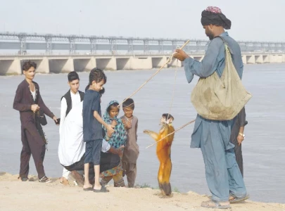 water level rises at kotri barrage recedes at sukkur guddu water level rises at kotri barrage recedes at sukkur guddu