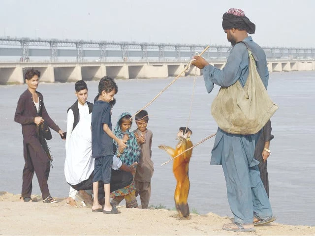 as the indus roars in a restless muddy swell below the kotri barrage a juggler spins joy into the air at almanzer his monkey the main act his audience wide eyed children momentarily adrift in a world of wonder far from floodwaters and fears photo inp as the indus roars in a restless muddy swell below the kotri barrage a juggler spins joy into the air at almanzer his monkey the main act his audience wide eyed children momentarily adrift in a world of wonder far from floodwaters and fears photo inp
