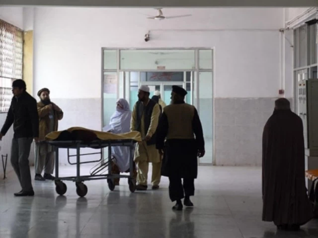 photo file photo file