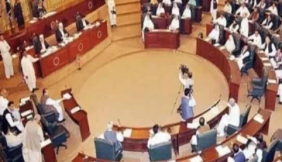 mpas briefed on k p s share in 11th nfc