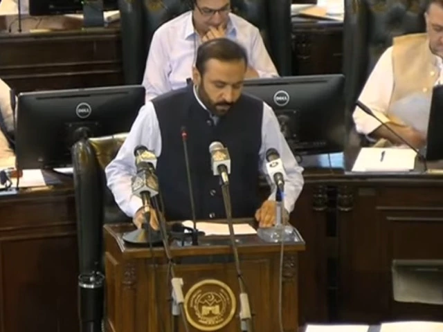 khyber pakhtunkhwa s finance minister aftab alam presents the budget for the financial year 2025 26 photo screengrab khyber pakhtunkhwa s finance minister aftab alam presents the budget for the financial year 2025 26 photo screengrab