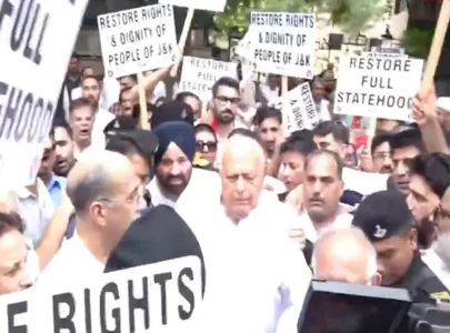kashmiris demand statehood at delhi protest kashmiris demand statehood at delhi protest