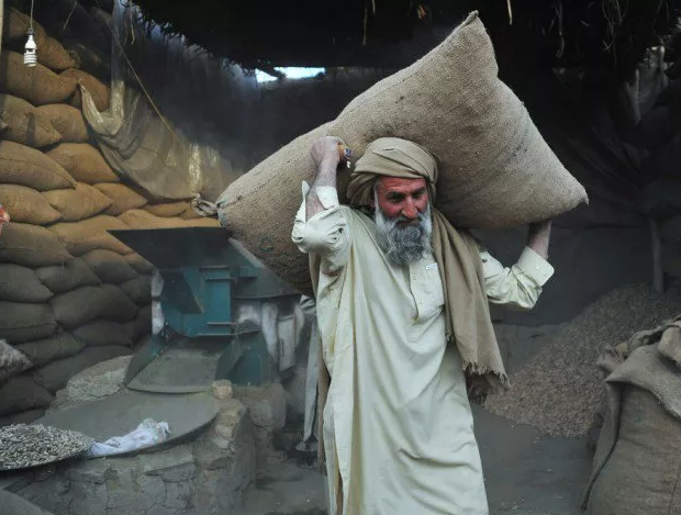 Celebrating labour, backbone of the nation