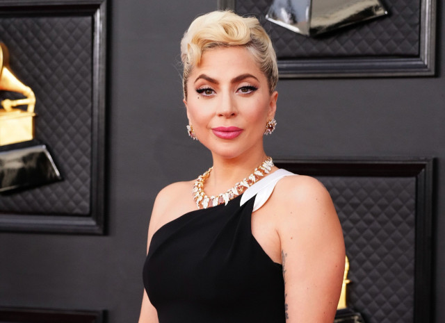 man who shot lady gaga s dog walker in pet theft sentenced to 21 years man who shot lady gaga s dog walker in pet theft sentenced to 21 years