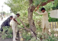 lhc warns of criminal action over tree cutting