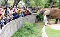 lahore zoo fails to attract public lahore zoo fails to attract public