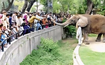 lahore zoo fails to attract public lahore zoo fails to attract public
