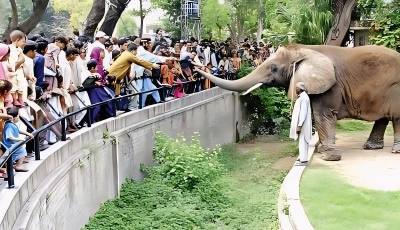 lahore zoo loses charm fails to attract visitors