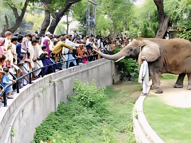 oo director asim cheema explained that lahore zoo was once the city s main recreation spot but now there were many alternatives such as the safari park and other leisure destinations photo et oo director asim cheema explained that lahore zoo was once the city s main recreation spot but now there were many alternatives such as the safari park and other leisure destinations photo et