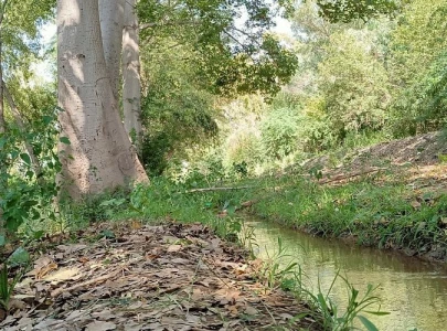 punjab allocates rs4b to boost south punjab tourism punjab allocates rs4b to boost south punjab tourism