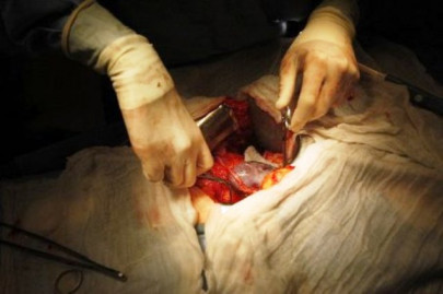 my kidneys are not for kafirs