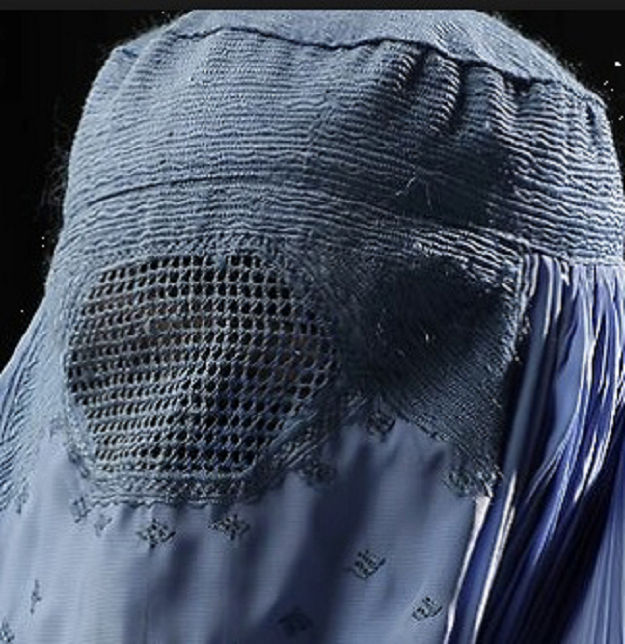 Latticework of an Afghan Burqa