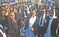 rally against constitutional amendment