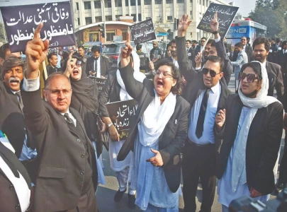 rally against constitutional amendment