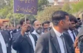 lawyers protest outside shc
