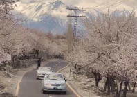 nature s soft revival in high north nature s soft revival in high north