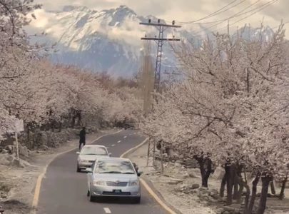 nature s soft revival in high north