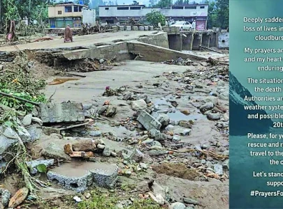 celebrities unite in grief over floods catastrophe celebrities unite in grief over floods catastrophe