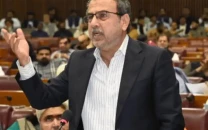 power minister defends move to abolish net metering as in line with law amid senate fury