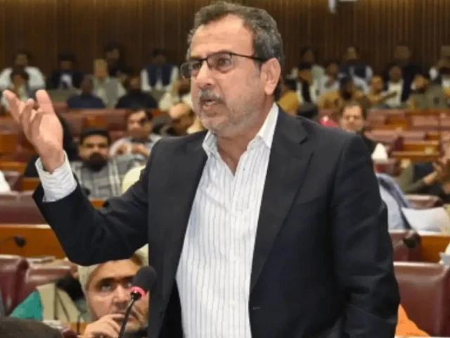 Power minister defends move to abolish net metering as in line with law amid Senate fury