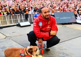 lewis hamilton reveals dog roscoe in coma after pneumonia health scare lewis hamilton reveals dog roscoe in coma after pneumonia health scare