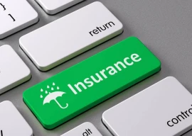 govt to sell insurance firms stakes