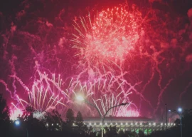 pm shehbaz waves olive branch with charter for stability