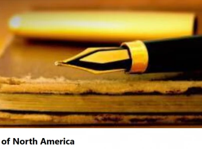 the brilliant disorder of the digital literary world the brilliant disorder of the digital literary world