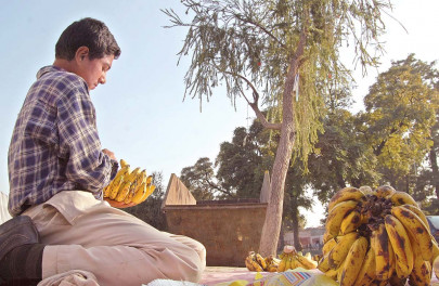 working children living hand to mouth working children living hand to mouth